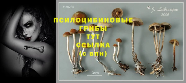 гашиш Абаза