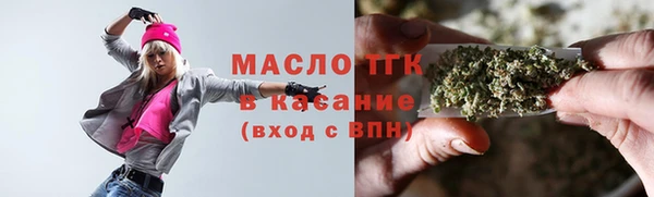 гашик Михайлов
