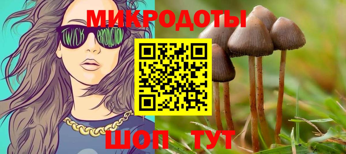 Галлюциногенные грибы MAGIC MUSHROOMS  цена   Псков  Вход с VPN 