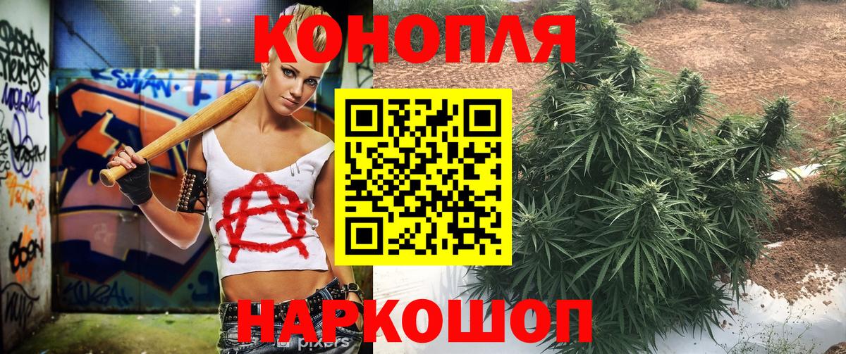 Марихуана план Псков